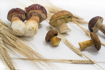 High angle view of food on table