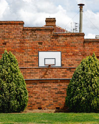 Plants against brick wall and building