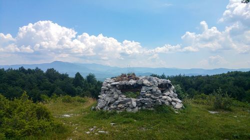 Trees and ruins on field against sky