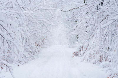 Full frame shot of snow