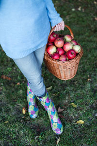 Low section of woman holding wicker basket with apples on grassy field