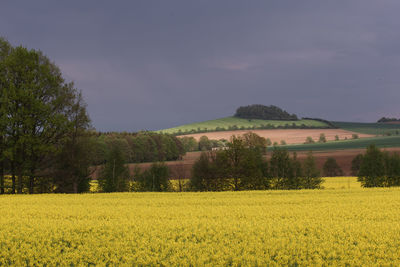 Scenic view of field against sky