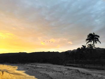 Scenic view of sea during sunset