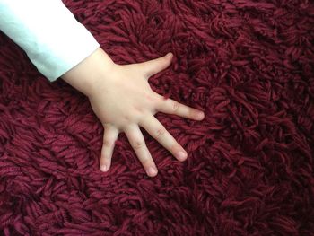 Close-up of hand touching red berries on rug