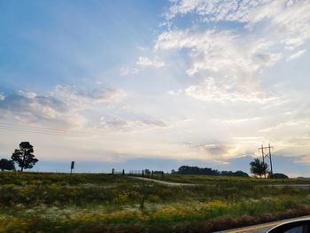 Scenic view of field against sky