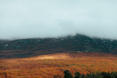 Scenic view of landscape against sky