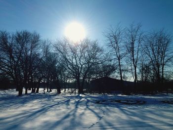 Sun shining through trees on snow covered field