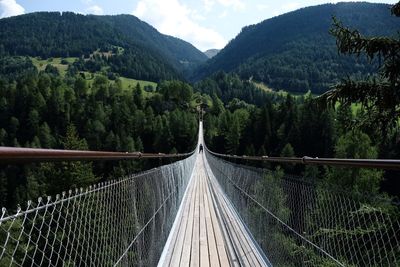 Footbridge amidst trees in forest against sky