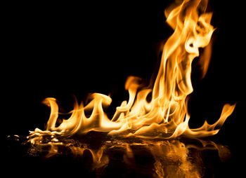 Close-up of bonfire against black background