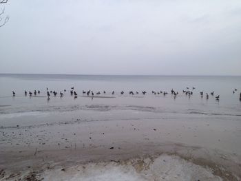 Franklin beach, ontario, canada.