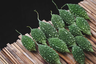 High angle view of berries on plant