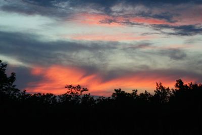 Low angle view of silhouette trees against dramatic sky