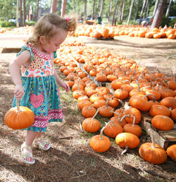 Girl carrying pumpkin at park during autumn