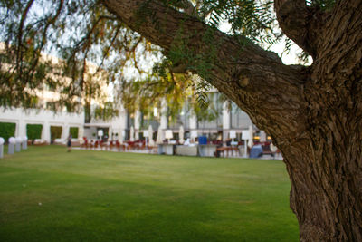People in park