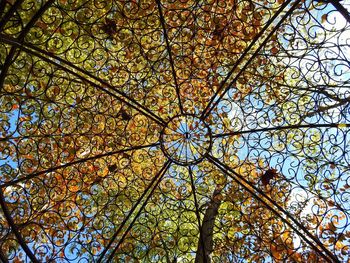 Low angle view of tree against sky