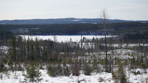 Scenic view of snow covered land against sky