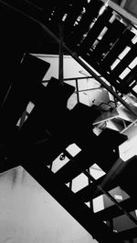 Low angle view of tree against sky