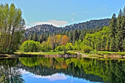 Scenic view of lake by trees against sky