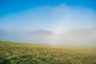 Scenic view of field against sky