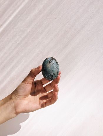 Cropped hand holding easter egg