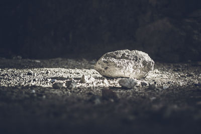 Surface level of pebbles on beach