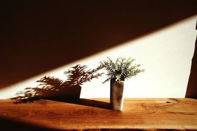 Close-up of tree on table