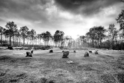 Trees on field against cloudy sky