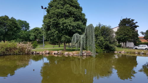 Scenic view of lake by trees against sky