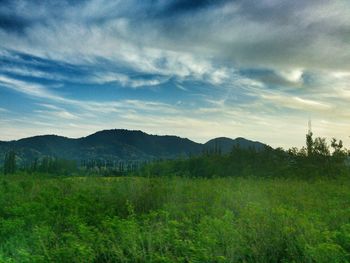 Scenic view of landscape against cloudy sky