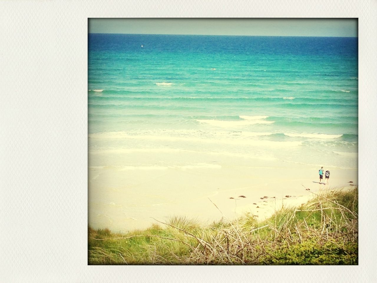 horizon over water, sea, water, beach, shore, tranquil scene, tranquility, scenics, beauty in nature, sand, grass, nature, sky, coastline, idyllic, wave, auto post production filter, plant, seascape, clear sky