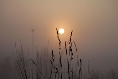 Scenic view of landscape against sky at sunset