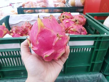 Close-up of hand holding pink food