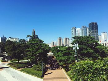 Trees in park against clear sky