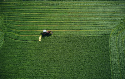 Working tractor making level harrows on bright field