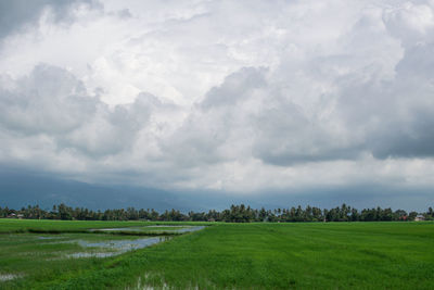 Scenic view of field against sky