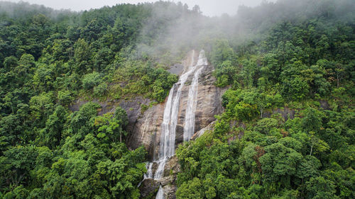 Scenic view of waterfall in forest