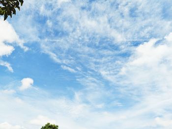 Low angle view of trees against sky