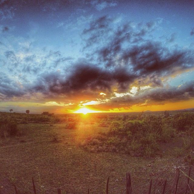 sunset, sky, tranquil scene, scenics, tranquility, cloud - sky, beauty in nature, nature, landscape, sun, orange color, cloudy, idyllic, horizon over water, cloud, weather, field, sunlight, sea, beach