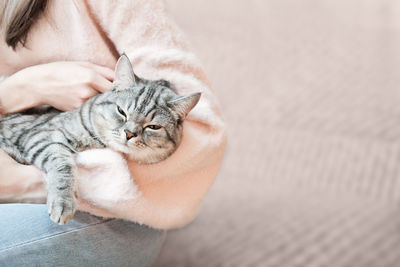 Woman holding tabby grey cat. playing with pet at home. love, coziness, leisure, animal protection