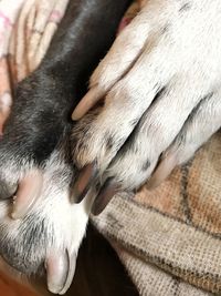 Close-up of hand feeding