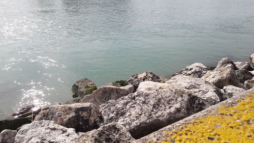 Close-up of stone wall