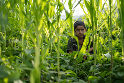 A young kid sitting in the field of corn plants.