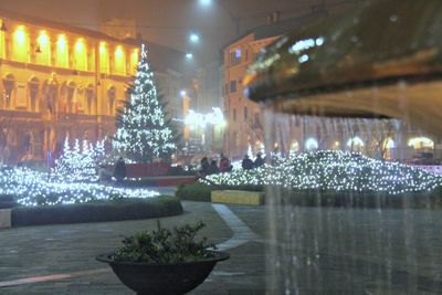 Illuminated christmas tree at night