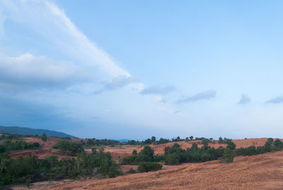 Scenic view of landscape against clear sky