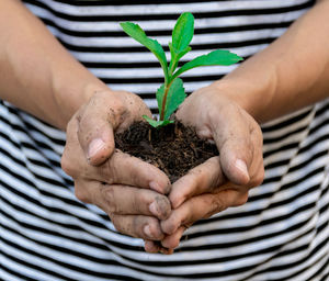 Midsection of man holding plant