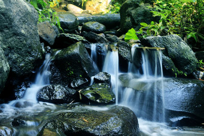 Scenic view of waterfall in forest