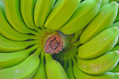 Full frame shot of banana