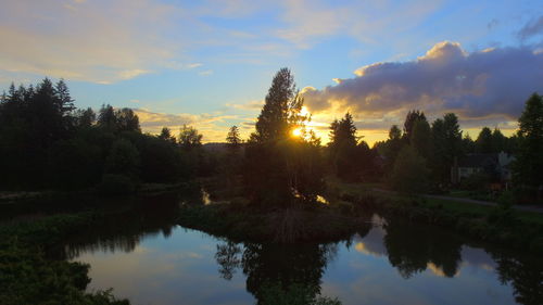 Reflection of trees in lake