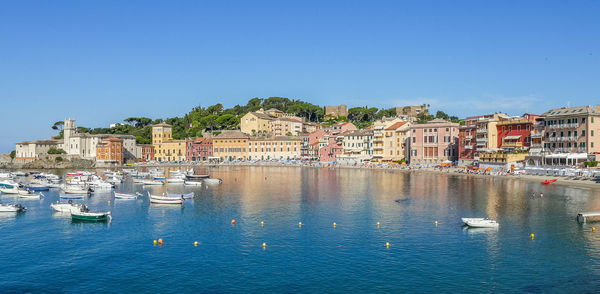 Sailboats in sea by townscape against clear blue sky