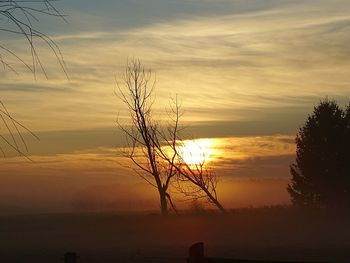 Bare trees on landscape at sunset